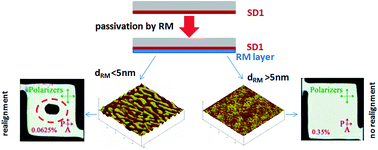 Graphical abstract: Strengthening of liquid crystal photoalignment on azo dye films: passivation by reactive mesogens