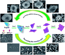 Graphical abstract: Papain/Zn3(PO4)2 hybrid nanoflower: preparation, characterization and its enhanced catalytic activity as an immobilized enzyme