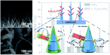 Graphical abstract: Low operating temperature toluene sensor based on novel α-Fe2O3/SnO2 heterostructure nanowire arrays