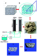 Graphical abstract: Performance and characterization of a non-sintered zeolite porous filter for the simultaneous removal of nitrogen and phosphorus in a biological aerated filter (BAF)