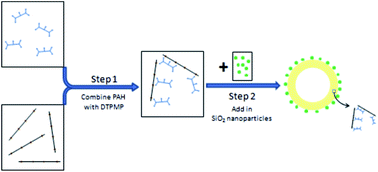 Graphical abstract: Functional scale inhibitor nanoparticle capsule delivery vehicles for oilfield mineral scale control