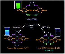 Graphical abstract: Macrocyclization of N,N′-propylenebis(3-formyl-5-tert-butylsalicylaldimine): a ratiometric fluorescence chemodosimeter for ZnII