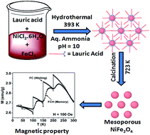 Graphical abstract: Magnetic memory effect in self-assembled nickel ferrite nanoparticles having mesoscopic void spaces