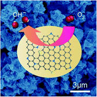 Graphical abstract: Supramolecular polymers-derived nonmetal N, S-codoped carbon nanosheets for efficient oxygen reduction reaction