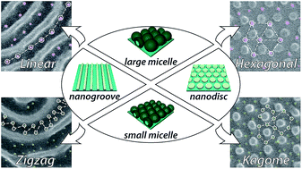 Graphical abstract: Template-assisted self-assembly of diblock copolymer micelles for non-hexagonal arrays of Au nanoparticles