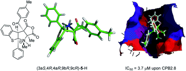 Graphical abstract: Targeting of the Leishmania mexicana cysteine protease CPB2.8ΔCTE by decorated fused benzo[b]thiophene scaffold