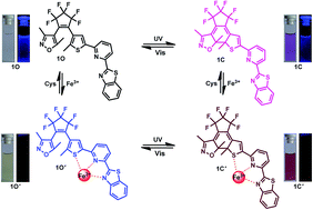 Graphical abstract: A diarylethene-based fluorescent chemosensor for the sequential recognition of Fe3+ and cysteine