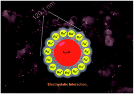 Graphical abstract: Influence of gold nanoparticles applied to catalytic hydrogenation of acetophenone with cationic complexes containing ruthenium