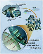 Graphical abstract: Facile preparation of a long-term durable nano- and micro-structured polymer blend membrane for a proton exchange membrane fuel cell