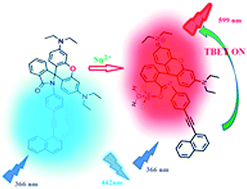 Graphical abstract: A through bond energy transfer based ratiometric probe for fluorescent imaging of Sn2+ ions in living cells