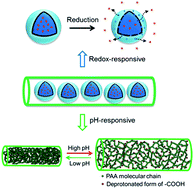 Graphical abstract: Dual-responsive multicompartment nanofibers for controlled release of payloads