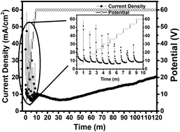 Graphical abstract: Nanotubes with anatase nanoparticulate walls obtained from NH4TiOF3 nanotubes prepared by anodizing Ti