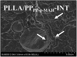 Graphical abstract: Polymer blend nanocomposites based on poly(l-lactic acid), polypropylene and WS2 inorganic nanotubes