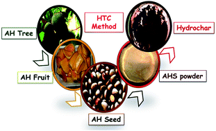 Graphical abstract: Pt decorated Artocarpus heterophyllus seed derived carbon as an anode catalyst for DMFC application