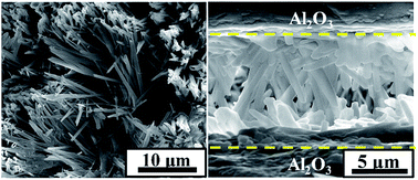 Graphical abstract: Epitaxial growth of aluminum borate whiskers and simultaneous joining of alumina ceramics via a sol–gel method