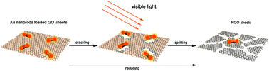 Graphical abstract: Au nano dumbbells catalyzed the cutting of graphene oxide sheets upon plasmon-enhanced reduction