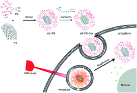 Graphical abstract: Graphene–polyglycerol–curcumin hybrid as a near-infrared (NIR) laser stimuli-responsive system for chemo-photothermal cancer therapy