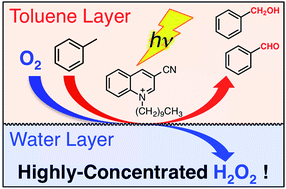 Graphical abstract: Two-phase oxidation of toluene derivatives by dioxygen using the 3-cyano-1-decylquinolinium ion as a photocatalyst