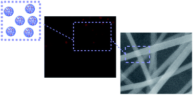 Graphical abstract: Nanogel containing electrospun nanofibers as a platform for stable loading of proteins