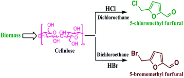 Graphical abstract: Preparation of halogenated furfurals as intermediates in the carbohydrates to biofuel process