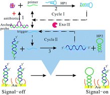 Graphical abstract: Signal-on electrochemical detection of antibiotics based on exonuclease III-assisted autocatalytic DNA biosensing platform