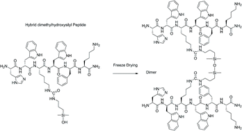 Graphical abstract: Selective homodimerization of unprotected peptides using hybrid hydroxydimethylsilane derivatives