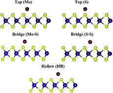 Graphical abstract: Spin-dependent metallic properties of a functionalized MoS2 monolayer