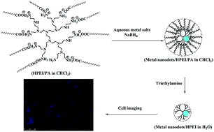 Graphical abstract: Blue-emitting and amphibious metal (Cu, Ni, Pt, Pd) nanodots prepared within supramolecular polymeric micelles for cellular imaging applications