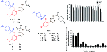 Graphical abstract: Advanced generation of paeonol-phenylsufonyl derivatives as potential anti-HBV agents