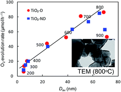 Graphical abstract: Factors affecting oxygen evolution through water oxidation on polycrystalline titanium dioxide