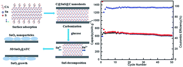 Graphical abstract: Methods to form atomically thin carbon coatings on SnS and SnO2 nanostructures