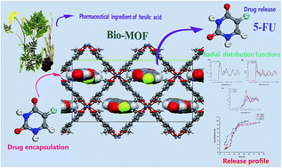 Graphical abstract: Encapsulation of pharmaceutical ingredient linker in metal–organic framework: combined experimental and theoretical insight into the drug delivery
