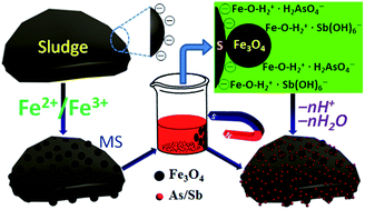 Graphical abstract: Highly efficient As(v)/Sb(v) removal by magnetic sludge composite: synthesis, characterization, equilibrium, and mechanism studies