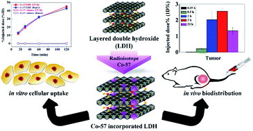 Graphical abstract: Radioisotope Co-57 incorporated layered double hydroxide nanoparticles as a cancer imaging agent
