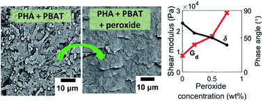 Graphical abstract: Melt processability and thermomechanical properties of blends based on polyhydroxyalkanoates and poly(butylene adipate-co-terephthalate)