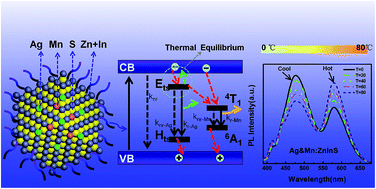 Graphical abstract: An optical ratiometric temperature sensor based on dopant-dependent thermal equilibrium in dual-emitting Ag&Mn:ZnInS quantum dots