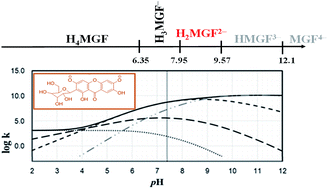 Graphical abstract: A combined experimental–theoretical study of the acid–base behavior of mangiferin: implications for its antioxidant activity