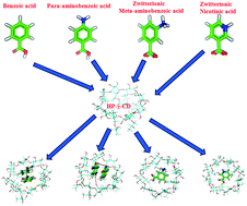 Graphical abstract: Molecular recognition of aromatic carboxylic acids by hydroxypropyl-γ-cyclodextrin: experimental and theoretical evidence