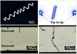 Graphical abstract: Manipulation and assembly behavior of Spirulina-templated microcoils in the electric field