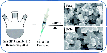 Graphical abstract: Elemental anion thermal injection synthesis of nanocrystalline marcasite iron dichalcogenide FeSe2 and FeTe2