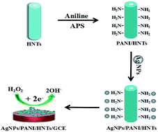 Graphical abstract: Non-enzymatic sensor based on a glassy carbon electrode modified with Ag nanoparticles/polyaniline/halloysite nanotube nanocomposites for hydrogen peroxide sensing