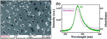 Graphical abstract: Tailoring the lasing modes in CH3NH3PbBr3 perovskite microplates via micro-manipulation