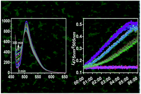 Graphical abstract: Ratiometric fluorescent pH-sensitive polymers for high-throughput monitoring of extracellular pH