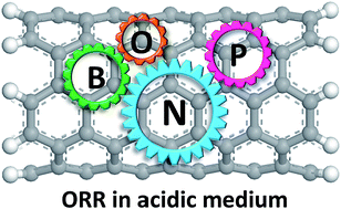 Graphical abstract: Doping sp2 carbon to boost the activity for oxygen reduction in an acidic medium: a theoretical exploration