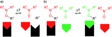 Graphical abstract: Radical exchange reaction of multi-spin isoindoline nitroxides followed by EPR spectroscopy