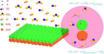 Graphical abstract: Highly sensitive and selective CO gas sensor based on a hydrophobic SnO2/CuO bilayer