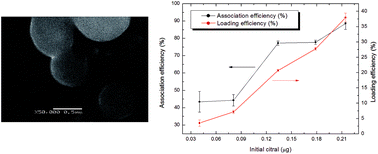 Graphical abstract: Preparation of chitosan nanoparticles by nanoprecipitation and their ability as a drug nanocarrier