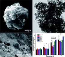 Graphical abstract: Fabrication and cell viability of injectable n-HA/chitosan composite microspheres for bone tissue engineering