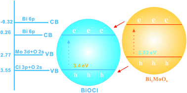 Graphical abstract: Accessible fabrication of Bi2MoO6/BiOCl for effectively conducting thermally-responsive catalytic decontamination of model pollutants