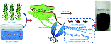 Graphical abstract: Intensification effect of peroxide hydrogen on the complete dissolution of lignocellulose under mild conditions